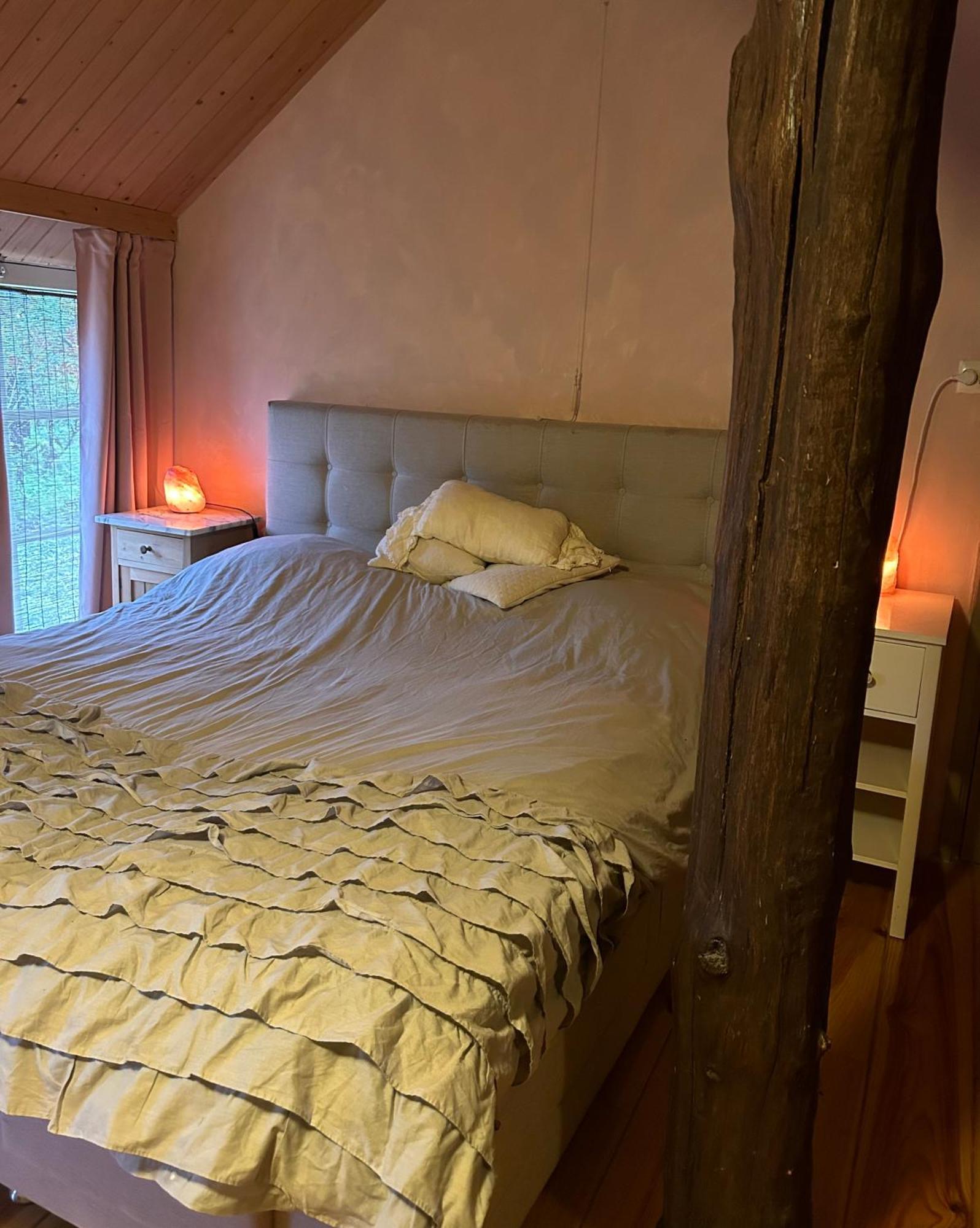 De Wijk Landgoed De Bongel Bed & Breakfast エクステリア 写真